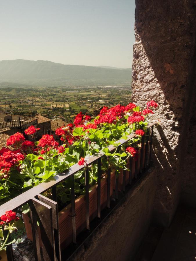 Le Stanze Del Duomo Hotel Anagni Room photo